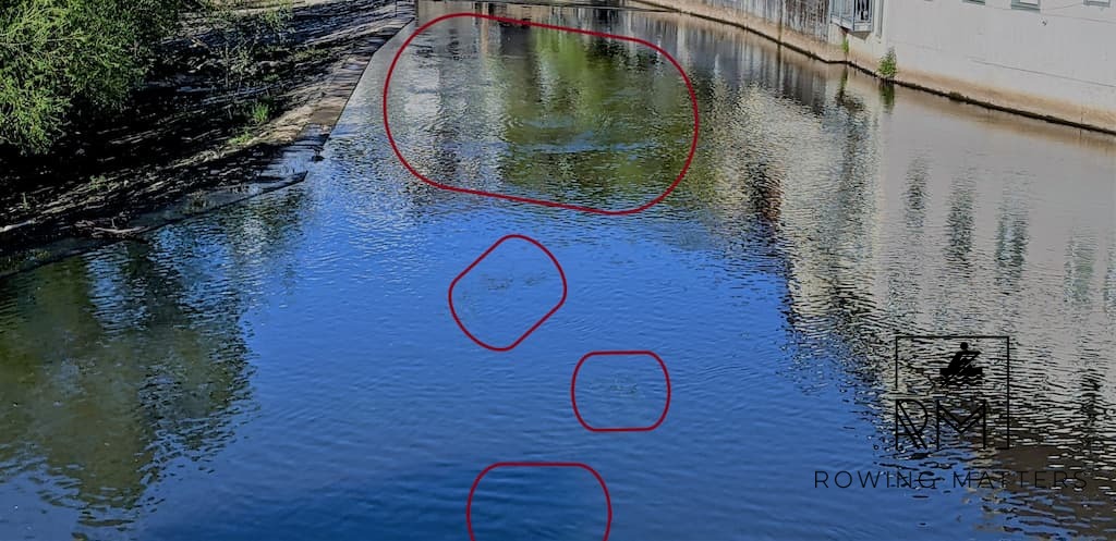 Beginnt der Wasserpest für dieses Jahr in Bad Kreuznach. Auf dem Bild erkennt man leider nur Änderung der Wasseroberfläche - das ist kein Wind, sondern die Wasserpest.